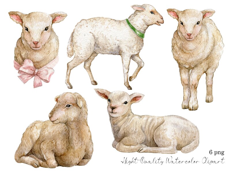 May include: Six watercolor illustrations of cute lambs in various poses. The lambs are white with brown accents and have fluffy fur. The illustrations are perfect for adding a touch of whimsy to any project.