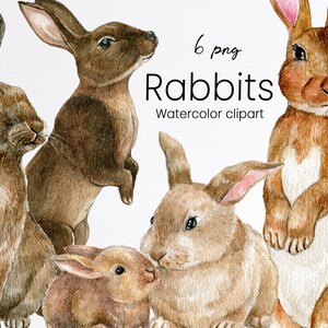 Aquarell Hase Clipart, braunes Osterhase Set, Frühlingshase, niedliches flauschiges Haustier, Tiere vom Bauernhof, digital, direkter Download, PNG