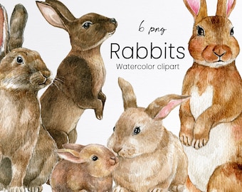 Watercolor bunny clipart, brown easter rabbit set, spring bunny, cute fluffy pet,farmhouse animals, digital, instant download, PNG