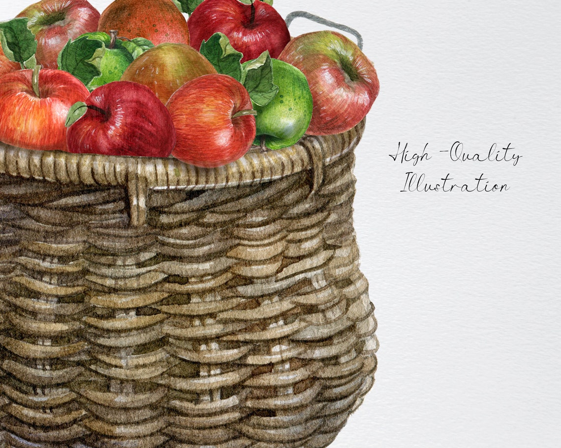 Watercolor Apple Harvest Clipartpumpkin Fall Decor Etsy