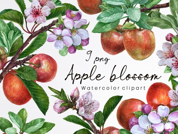 Apple Blossom Tree Clip Art