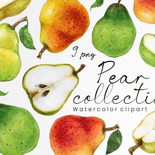 Watercolor pear clipart, fruit clip art,summer harvest clipart, Slices of pear, watercolor fruit, cookbook sticker, instant download, PNG