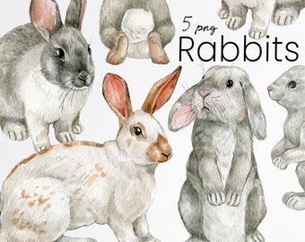 Watercolor bunny clipart, white easter rabbit set, spring bunny, cute fluffy pet,farmhouse animals, digital, instant download, PNG
