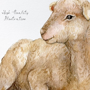 May include: A watercolor illustration of a brown lamb with fluffy fur. The lamb is looking to the right and has a soft, gentle expression.