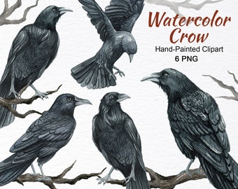 Raven watercolor clipart – black crow PNG, Gothic Halloween digital birds, Witchy illustration set