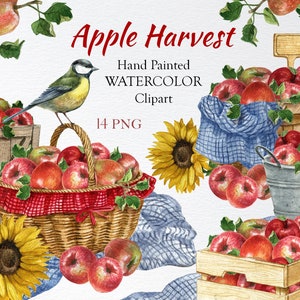 Watercolor red apple clipart,apple garden harvest,Fall Decor Clipart,Thanksgiving  Clipart.Autumn Arrangement,Farmhouse rustic composition