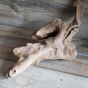 Driftwood, Wood Decor, Outdoor Wood Decor