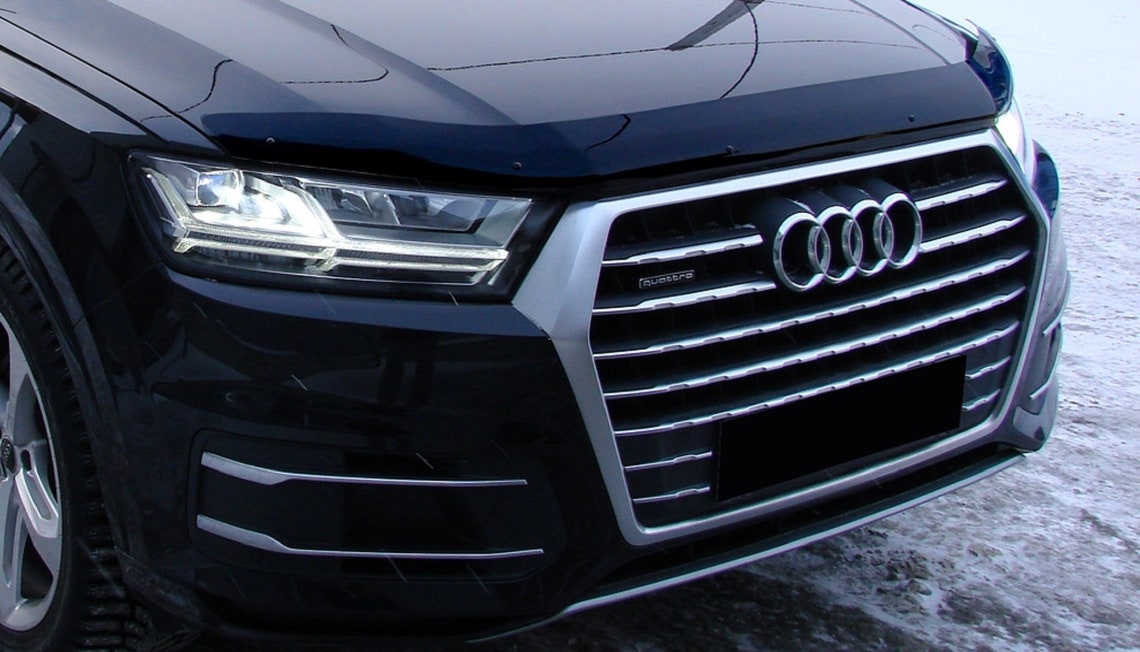 Audi q7 bug
