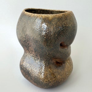 Unique Wood Fired Ceramic Vase Perfect for Home, Office Decor, Modern Artwork for Shelves, Libraries & Flower Arrangements Handcrafted image 5