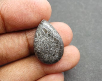 Black Coral Gemstone Cabochon-Black Coral Cabochon-Natural Black Coral Smooth Pear Cabochon-21x14x7 MM-High Quality-Wholesalegems-BS11059