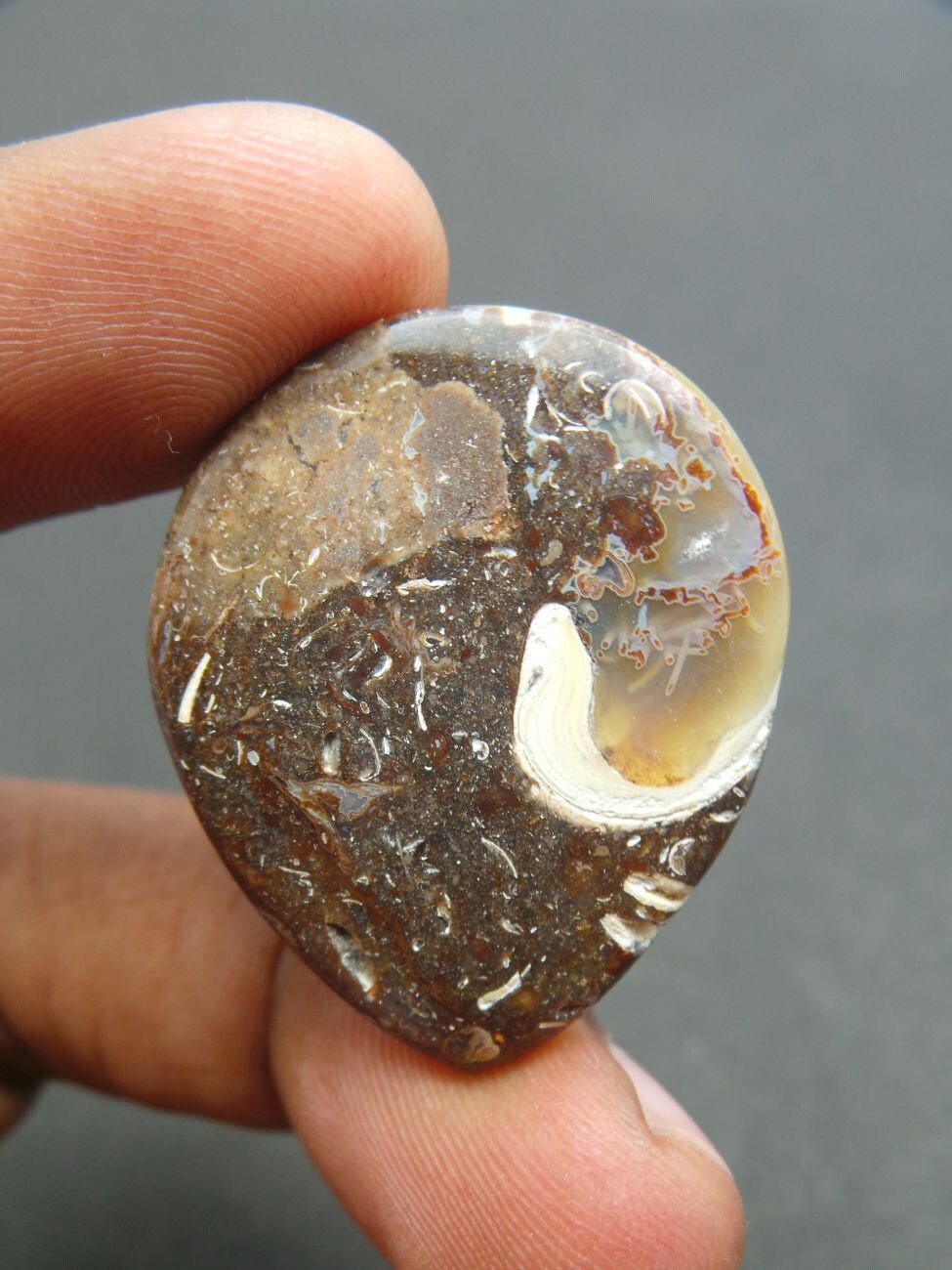 Ammonite Gemstone Cabochon-Ammonite Cabochon-Natural Ammonite | Etsy