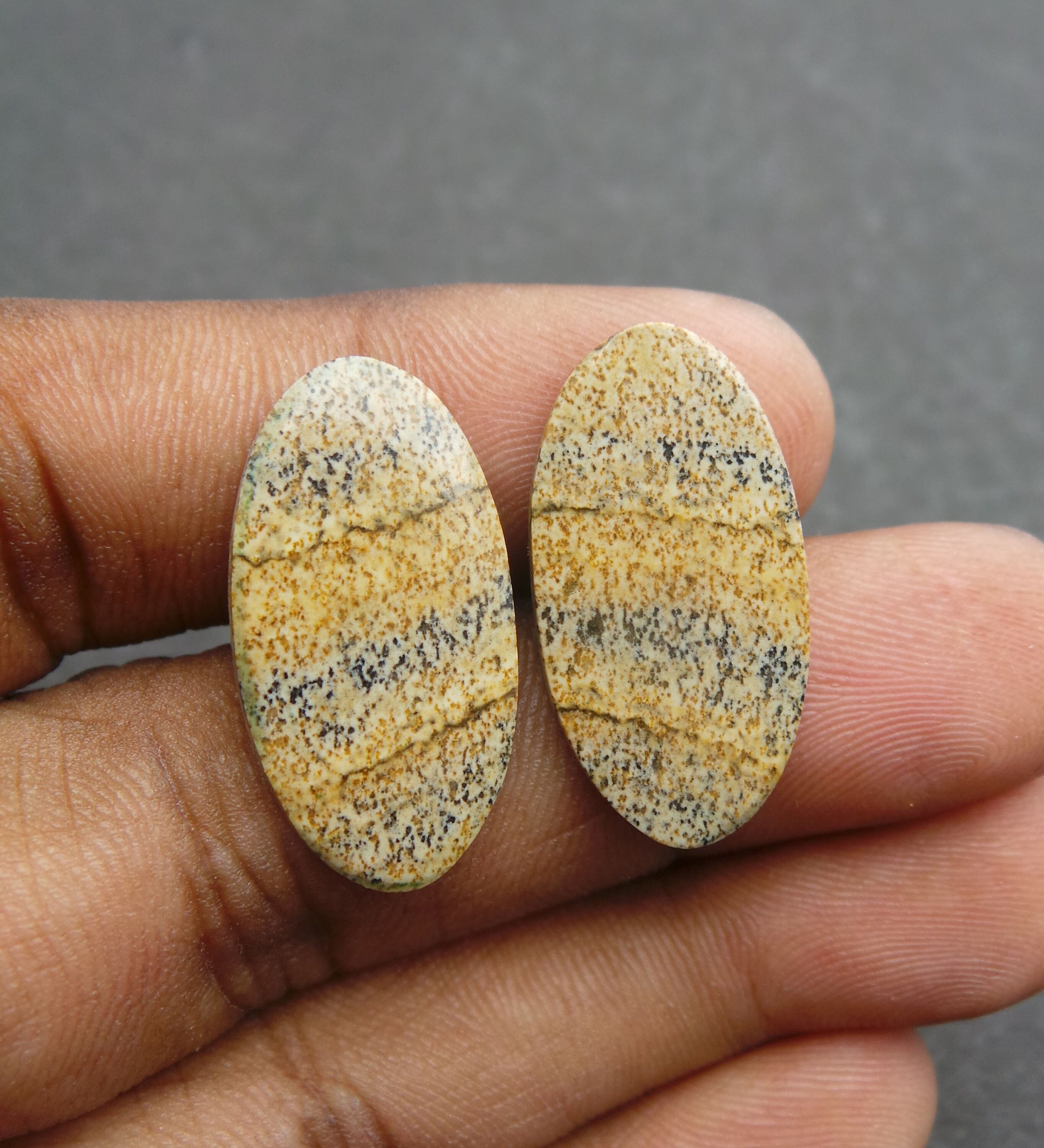 Picture Jasper Cabochon-Jasper Cabochon-Natural Picture Jasper | Etsy