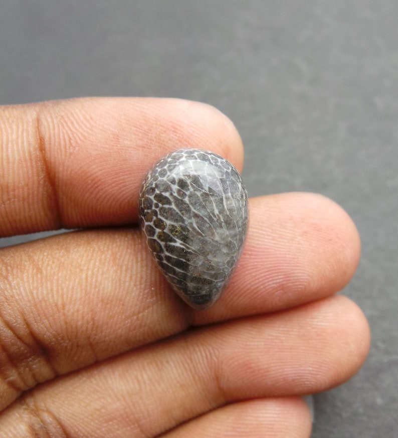 Black Coral Gemstone Cabochon-Black Coral Cabochon-Natural Black Coral Smooth Pear Cabochon-21x14x7 MM-High Quality-Wholesalegems-BS11059