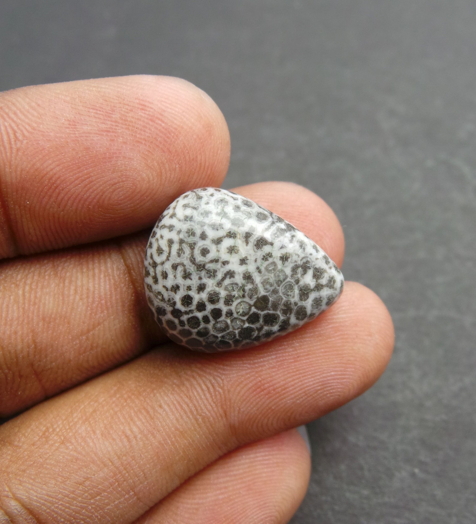 Black Coral Gemstone CabochonBlack Coral CabochonNatural Etsy