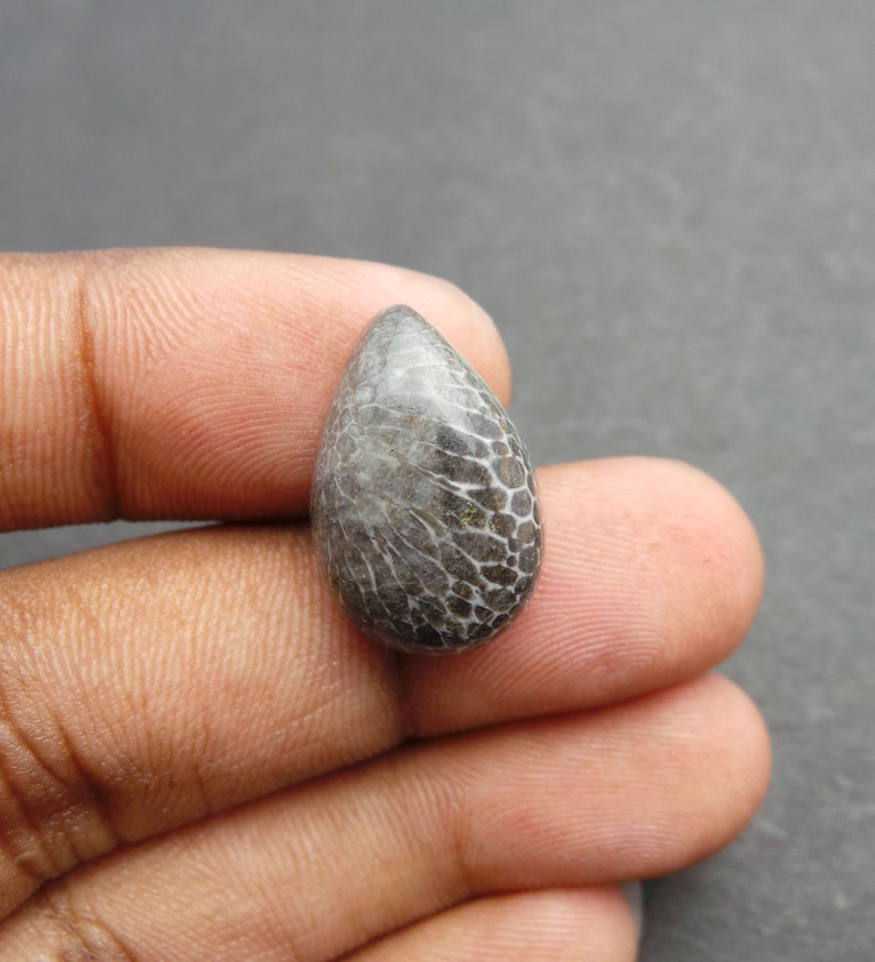 Black Coral Gemstone Cabochon-Black Coral Cabochon-Natural Black Coral Smooth Pear Cabochon-21x14x7 MM-High Quality-Wholesalegems-BS11059