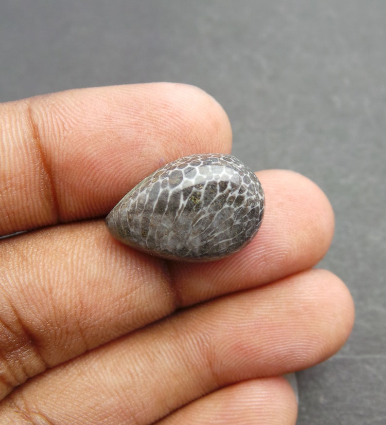 Black Coral Gemstone Cabochon-Black Coral Cabochon-Natural Black Coral Smooth Pear Cabochon-21x14x7 MM-High Quality-Wholesalegems-BS11059