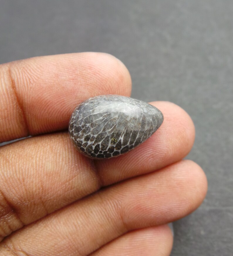 Black Coral Gemstone Cabochon-Black Coral Cabochon-Natural Black Coral Smooth Pear Cabochon-21x14x7 MM-High Quality-Wholesalegems-BS11059