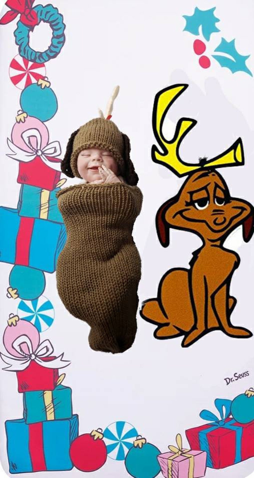 Max Grinch's Dog Baby Set Swaddle Cocoon Your a Mean One Stink Stank