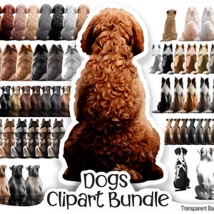Clipart hond beste vriend | PNG-bestanden | 12 rassen voor aangepaste hondenmoeder, hondenliefhebber cadeauontwerp, dalmatijn, windhond, labradoodle, buldog,