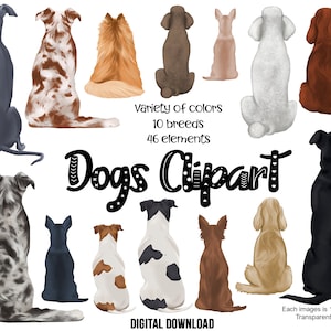 Hund Bester Freund Clipart | PNG-Dateien | 10 Hunderassen geeignet für individuelle Hundemama, Hundeliebhaber Geschenk Design | Pitbull, Jack Russel, Chihuahua