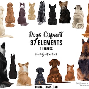 Chien meilleur ami des cliparts | Fichiers PNG | 11 races de chiens adaptées aux mamans de chien personnalisées, conception de cadeau pour les amoureux des chiens | Golden retriever, Yorkie, Labrador