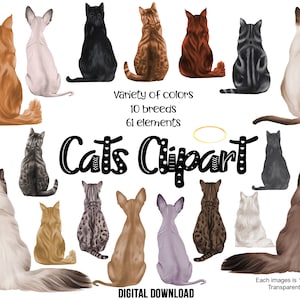Clipart de chat | 61 fichiers PNG | 10 races de chats adaptées aux cadeaux personnalisés - tasse de maman de chat, cadeaux de propriétaire de chat et de papa | Siamois, Ragdoll, Sphynx