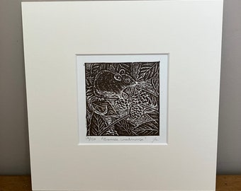Woodmouse in Brambles Lino Print, Wildlife Art, Original Limited Edition linocut.