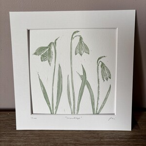 May include: A green and white print of snowdrops, a type of flower, with the text "Snowdrops" and "1/100" in the bottom corners.
