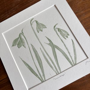 May include: A green and white print of snowdrops, a type of flower, with the text '(snowdrops)' at the bottom of the image.