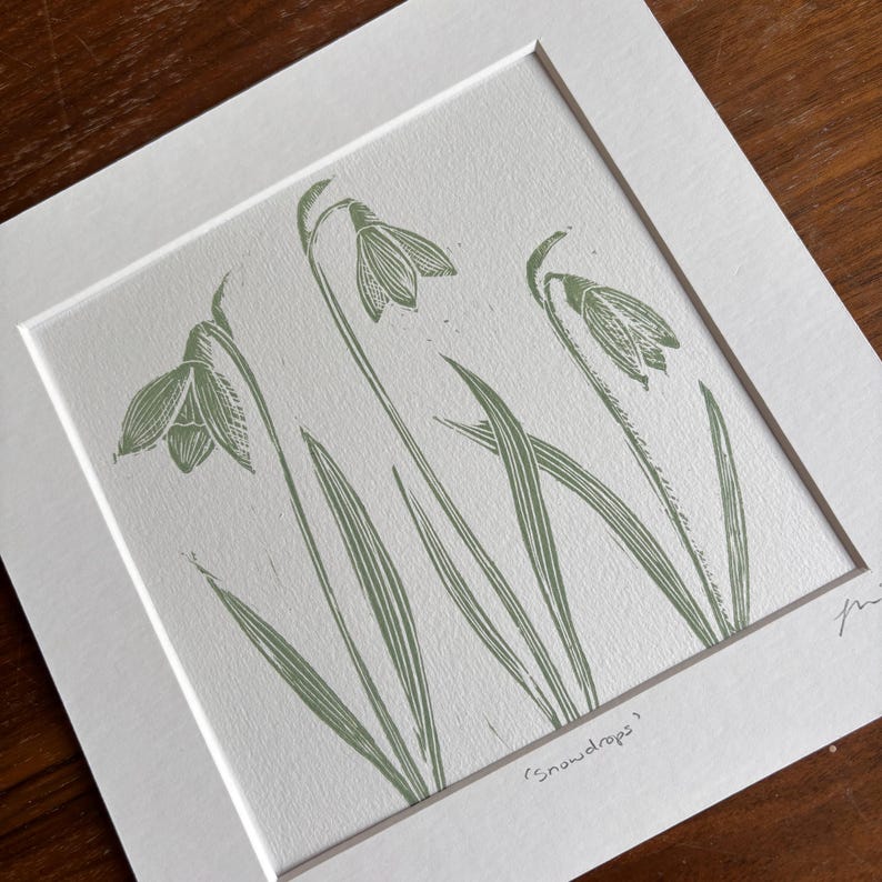 May include: A green and white print of snowdrops, a type of flower, with the text '(snowdrops)' at the bottom of the image.