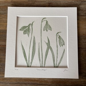 May include: A framed green and white print of snowdrops, with the text "snowdrops" and the number "1/100" printed below the image.