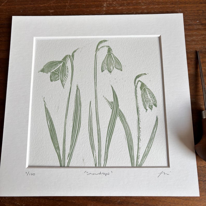 May include: A framed green and white print of three snowdrops with the text "Snowdrops" and "1/100" in the bottom corners.