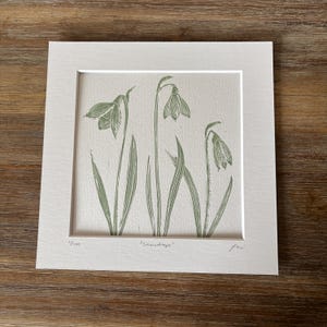 May include: A framed green and white print of snowdrops with the text "snowdrops" and the number "1/100" in the bottom left corner.