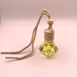 Handmade Car freshener-new car scent-car freshie-car diffuser-car air fresheners- car diffuser-hanging diffuser-car accessories-new car gift