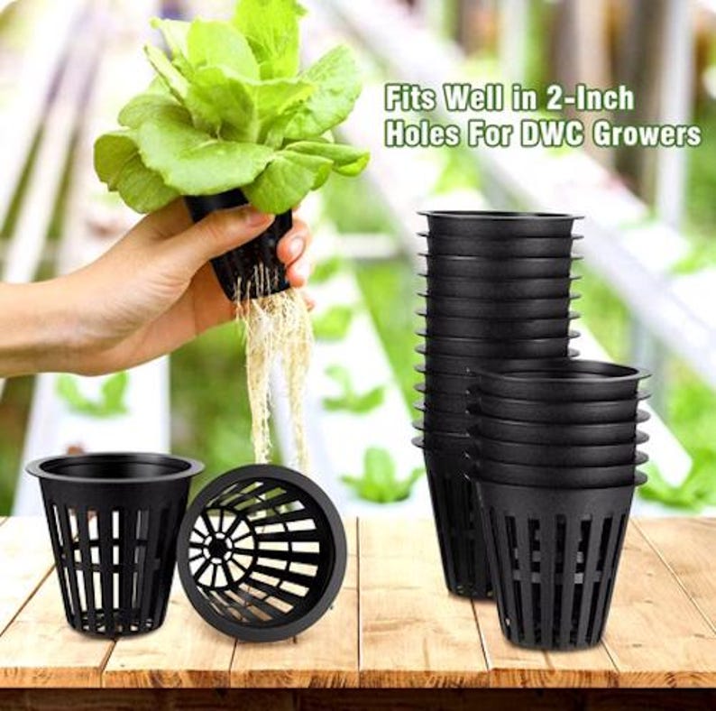 May include: Black plastic net pots for hydroponic gardening. The pots have a slotted design and are shown with a plant and text that reads "Fits Well in 2-Inch Holes For DWC Growers".