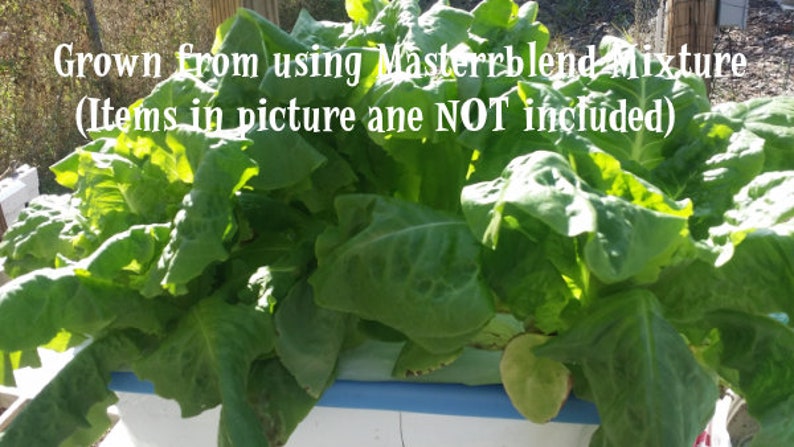 masterblend grams per gallon tomato 2 grams masterblend grams per gallon tomato 2 grams