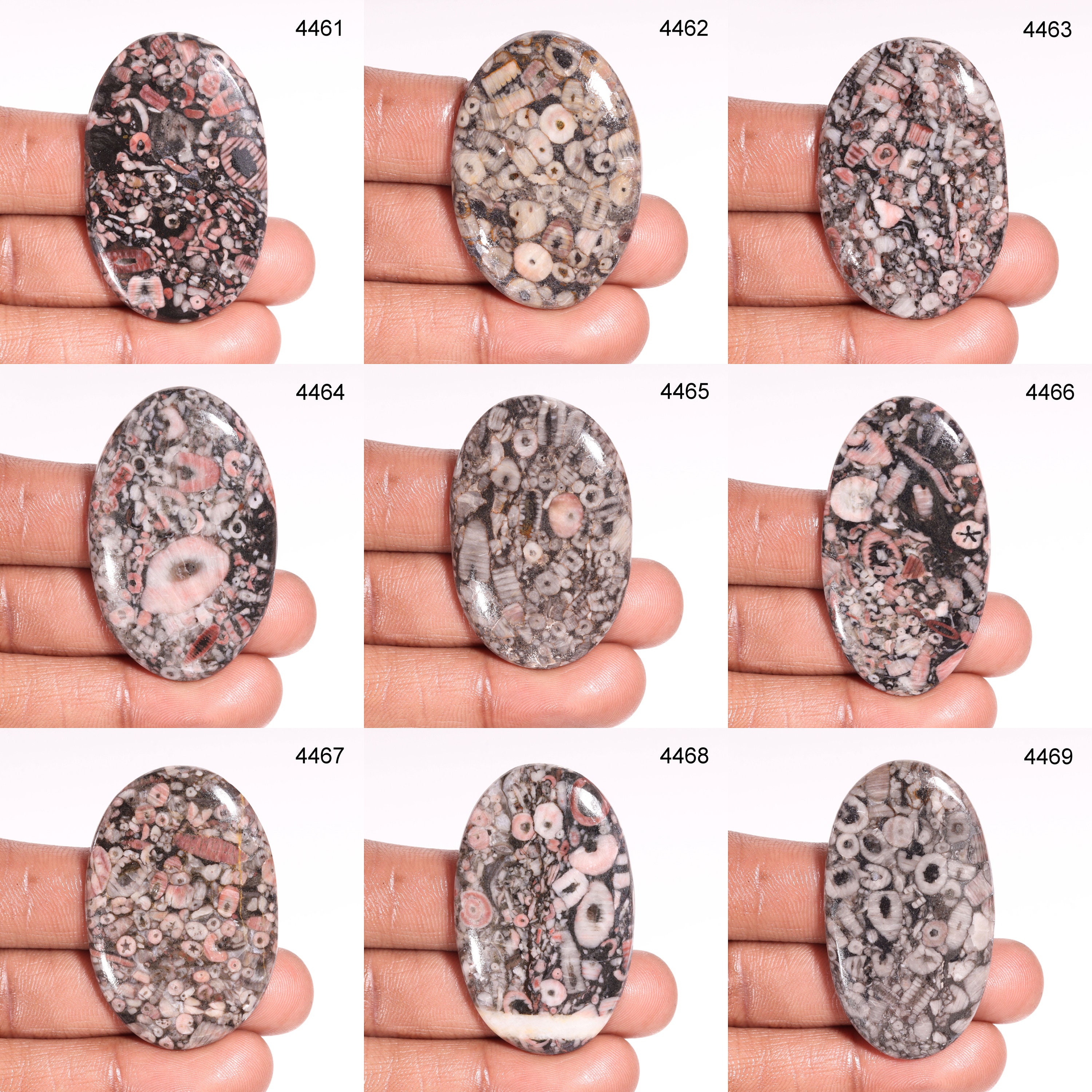 Smooth Crinoid Fossil Cabochon Loose Gemstone Natural Crinoid