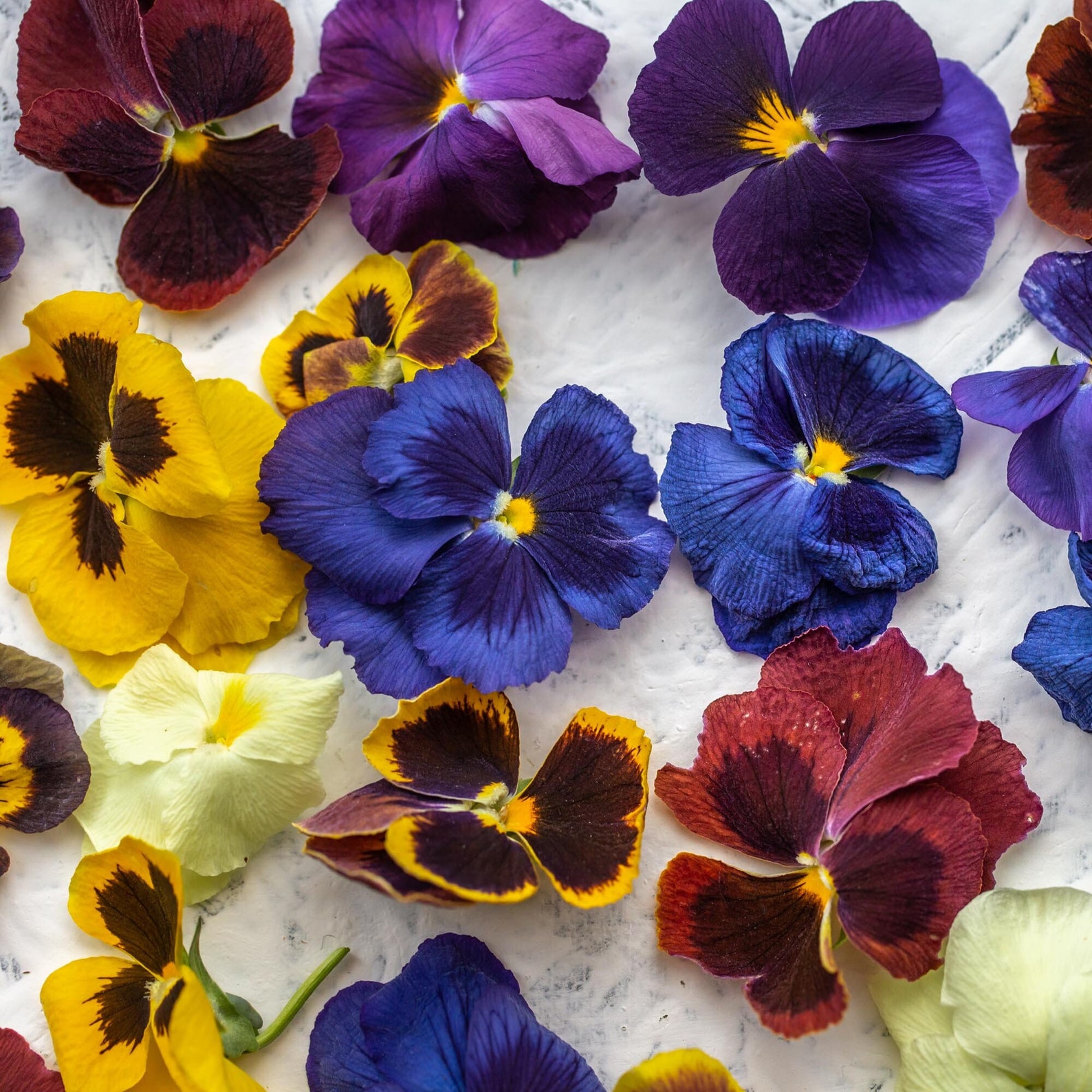 Edible Viola Mix Large Flower Mixed Colours Freeze Dried Etsy
