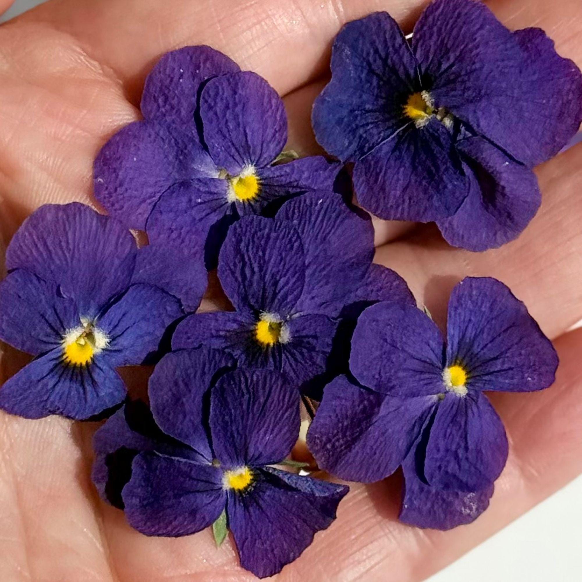 Edible Freeze Dried Purple Viola Flowers – Certified Food Grade - Etsy