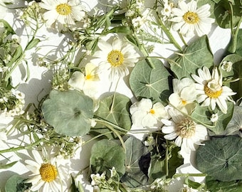 Flores comestibles - Mezcla de flores y pétalos liofilizados 'Monica' - Certificados de calidad alimentaria