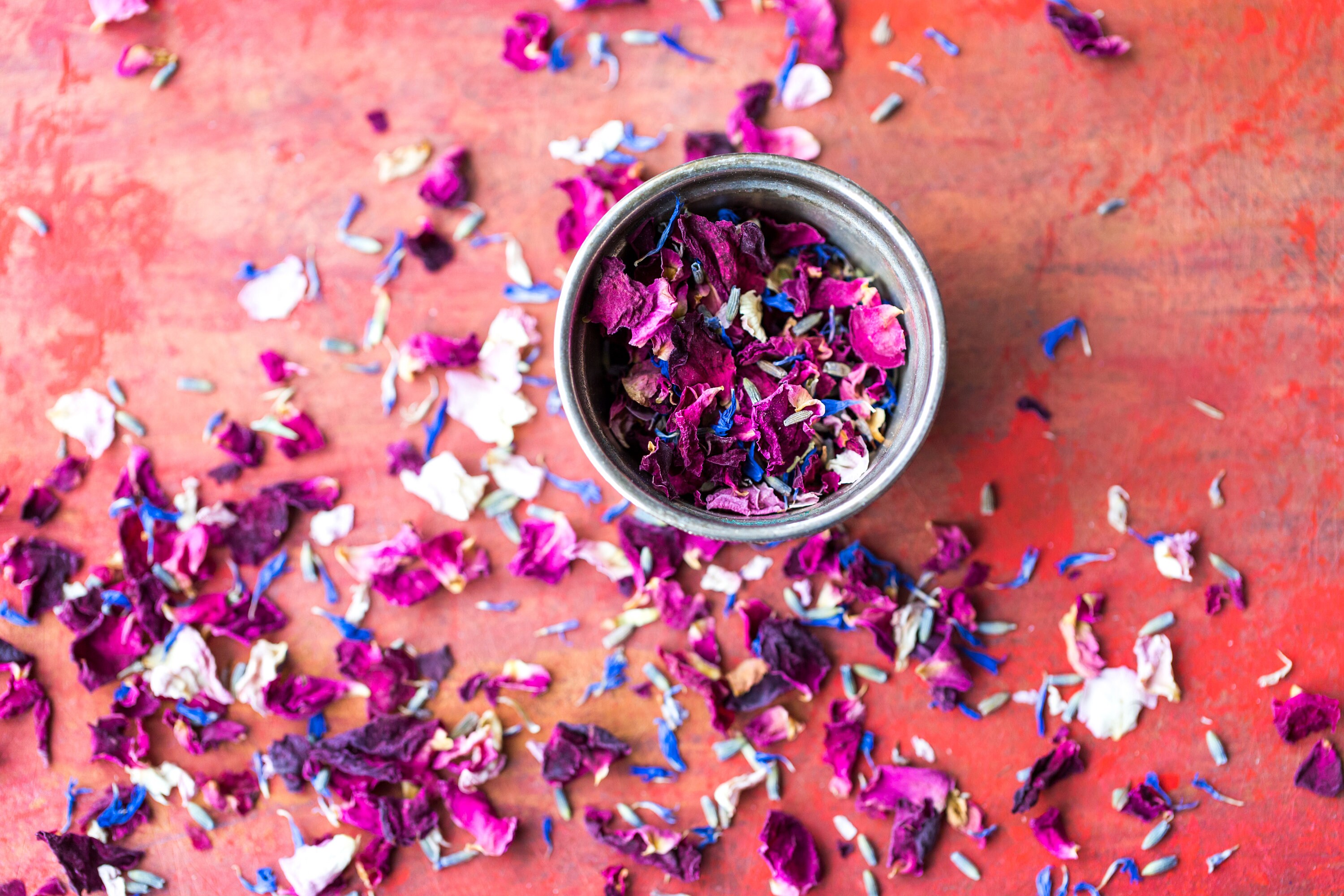 Wild Flower Confetti Seed Mix Natural Biodegradable Etsy