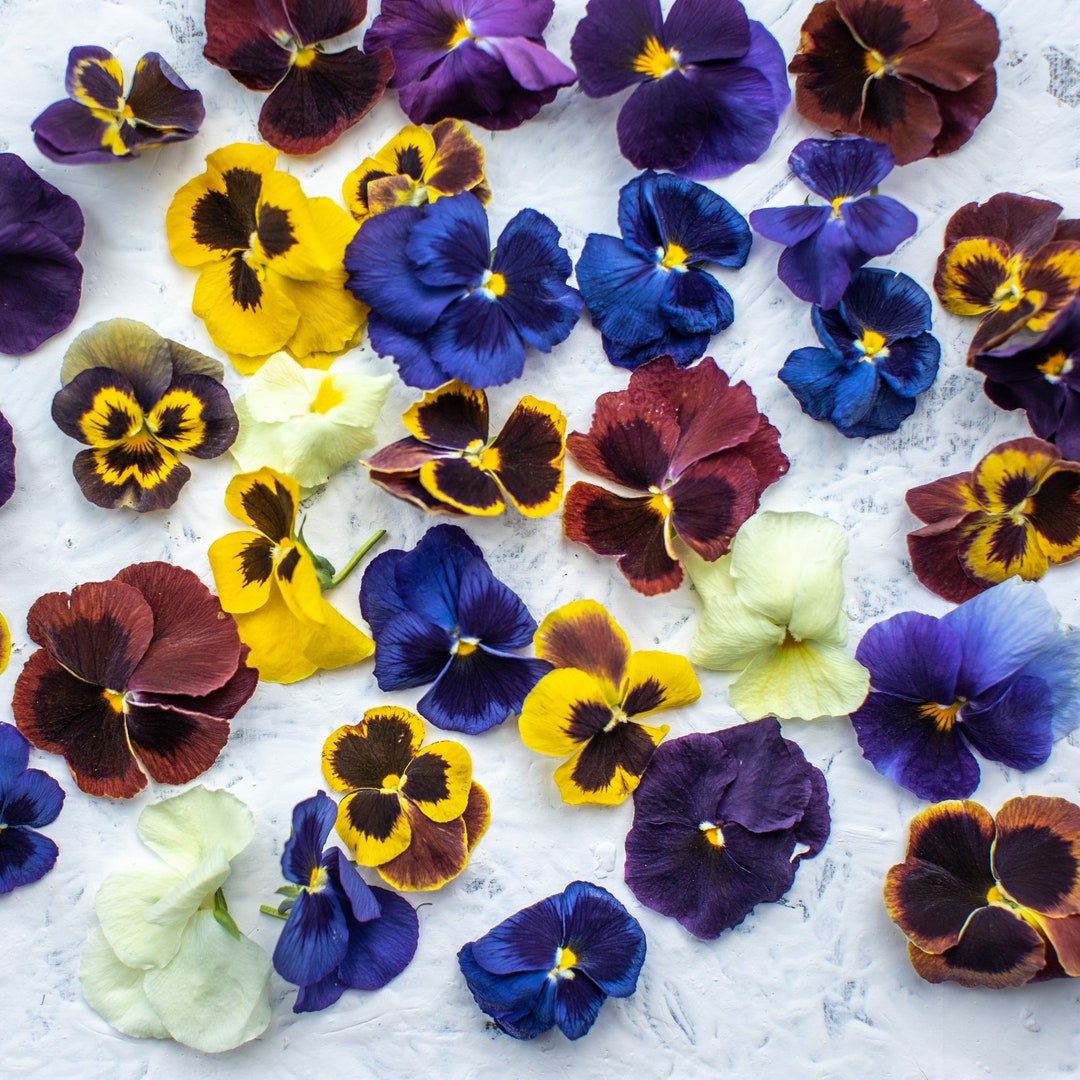 Edible Freeze Dried Natural Pansy viola Flowers Cake Etsy