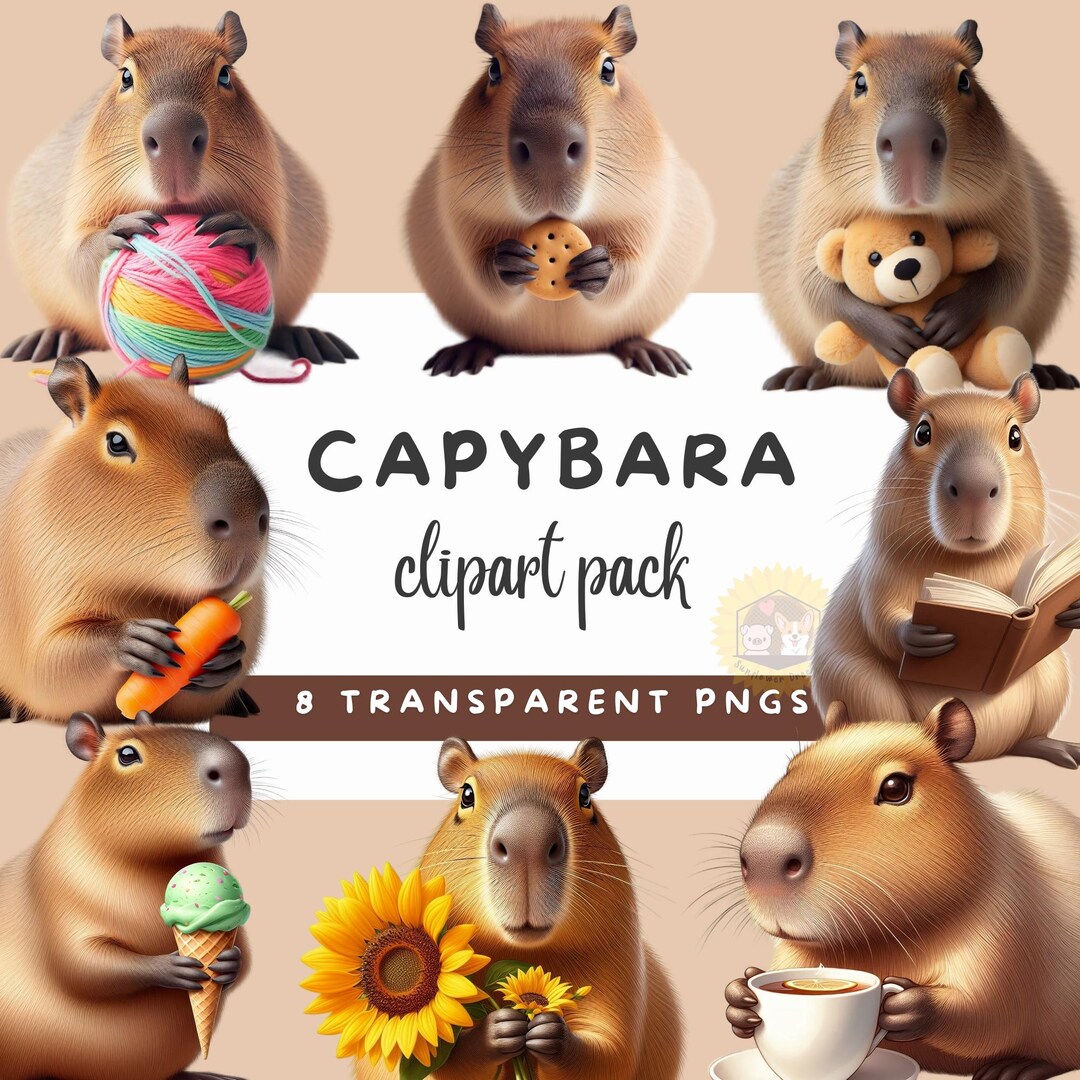 Capybara Clipart Pack, 8 Transparent Pngs (digital Download) - Etsy