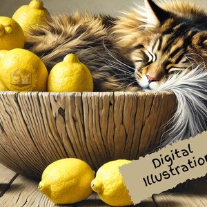 Illustration de Maine Coon, Art imprimable chat, Illustration aquarelle de chat, Maine Coon Png, Cartes d'art, Fabrication de cartes, Scrapbooking, Amoureux des chats