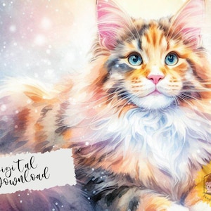 Maine Coon Illustration, Digitaler Download von Maine Coon, Png Katze, Aquarell Maine Coon, Katzen Illustration