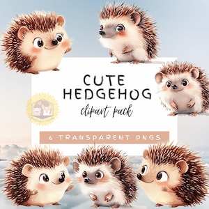 Imágenes prediseñadas de erizo kawaii, erizo lindo, erizo png, imágenes prediseñadas de guardería, arte estacionario, creación de tarjetas, álbumes de recortes, arte con tarjetas, paquete de imágenes prediseñadas
