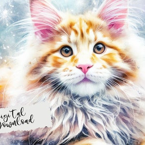Illustration de Maine Coon, téléchargement numérique de Maine Coon, Maine Coon Png, image de carte de chat, maine coon aquarelle, illustration de chat