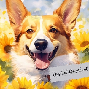 Sonnenblumen und Corgis, Aquarell Corgis Digitale Kunst, Corgis Illustration, Corgis png, Hund Digitale Kunst, süße Corgis png