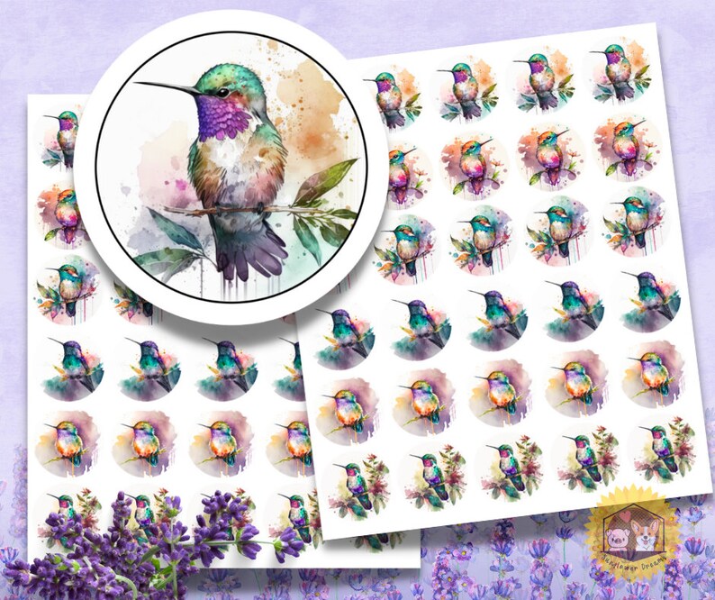 Chibi Hummingbird Stickers: Bird Card Mail Labels - Etsy