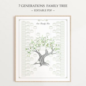 Póster de geneología de árbol genealógico, gráfico de árbol genealógico,  póster de genealogía de generación, tabla de ascendencia rellenable en